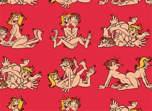 Couples Banging Gift Wrap OZ-GW-10