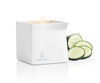 Afterglow Cucumber Water Massage Candle - 4.5 Oz. JJ-11736