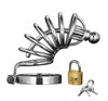 Asylum 6 Ring Locking Chastity Cage - Small-Medium MS-AD147SM