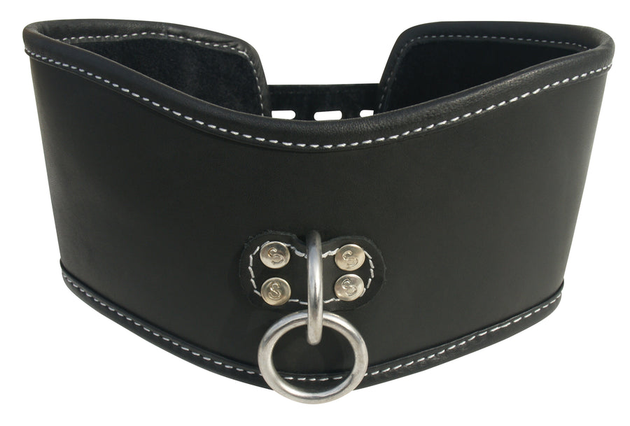 Edge Soft Leather Posture Collar SS980-27