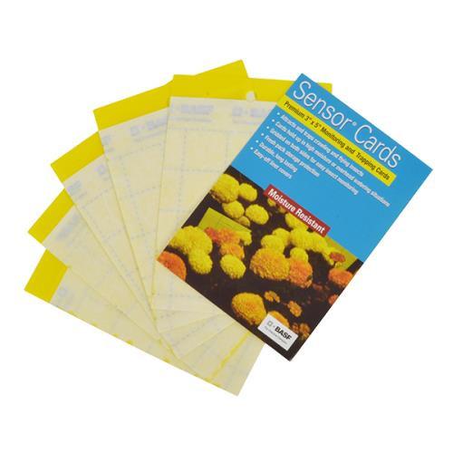 Sensor Yellow Monitoring Cards 50/Pack