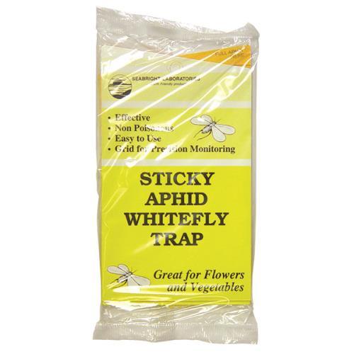 Sticky Whitefly Trap 3/Pack