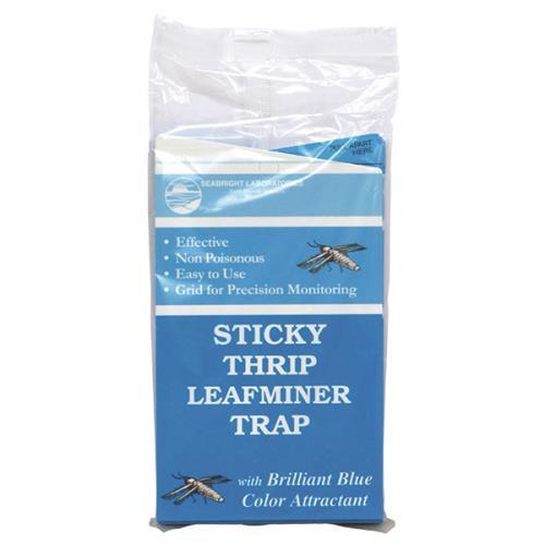 Stick Thrip Leafminer Trap 5/Pack