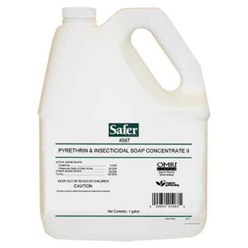 Safer Pyrethrin & Insecticidal Soap II Conc. Gallon