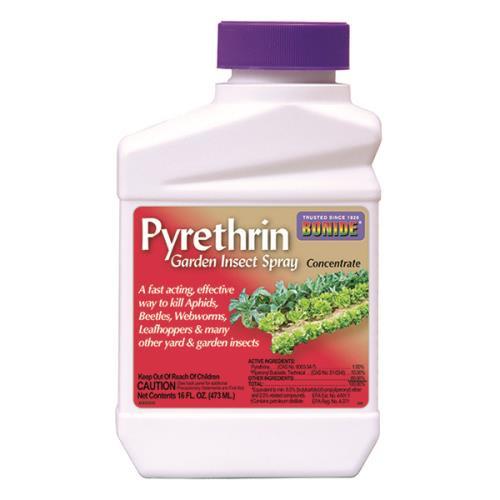 Bonide Pyrethrin Garden Insect Spray Conc. Pint