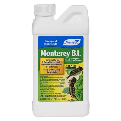 Monterey B.t. Pint