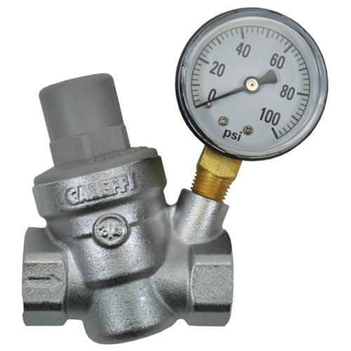 Dosatron Pressure Regulator w/ Gauge - 3/4 in (FPT x FPT)