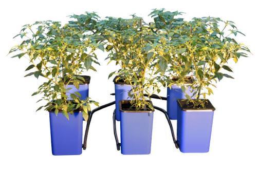 Titan Controls Flo-n-Gro 6 Cell Expansion Kit